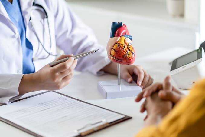 Médico explica um modelo anatômico do coração para um paciente durante um check-up cardiovascular